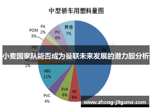小麦国家队能否成为曼联未来发展的潜力股分析