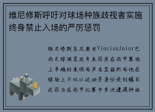 维尼修斯呼吁对球场种族歧视者实施终身禁止入场的严厉惩罚